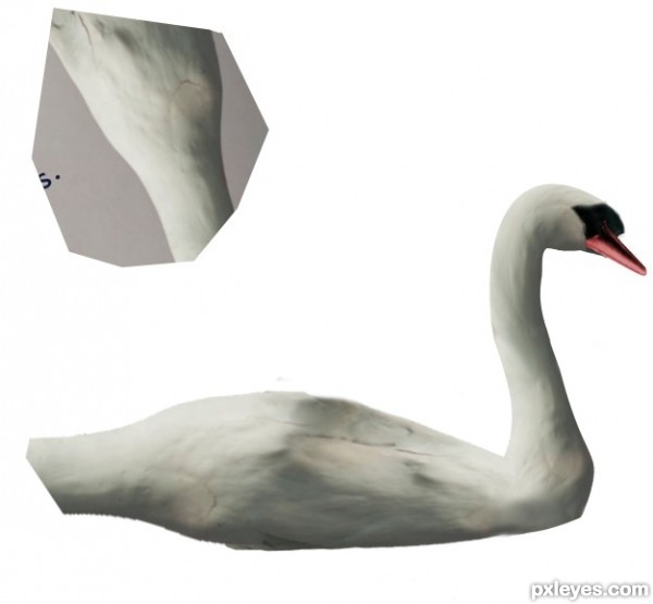 Creation of Swan: Step 6